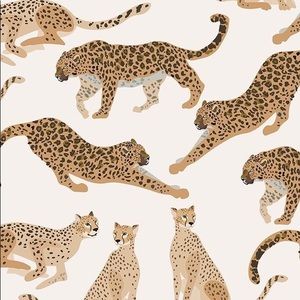 Meet your Posher, Kaitlin